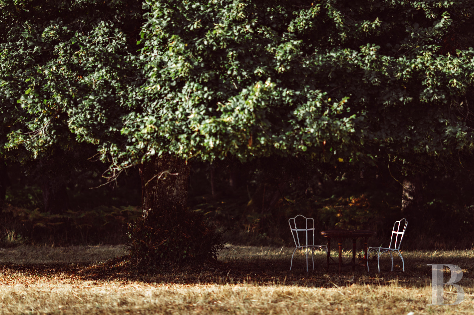 A country house rental for a year with access to the services and facilities of a large estate, an hour’s train ride from Paris in Touraine  - photo  n°21